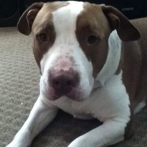 Meet your Posher, Jaclyn